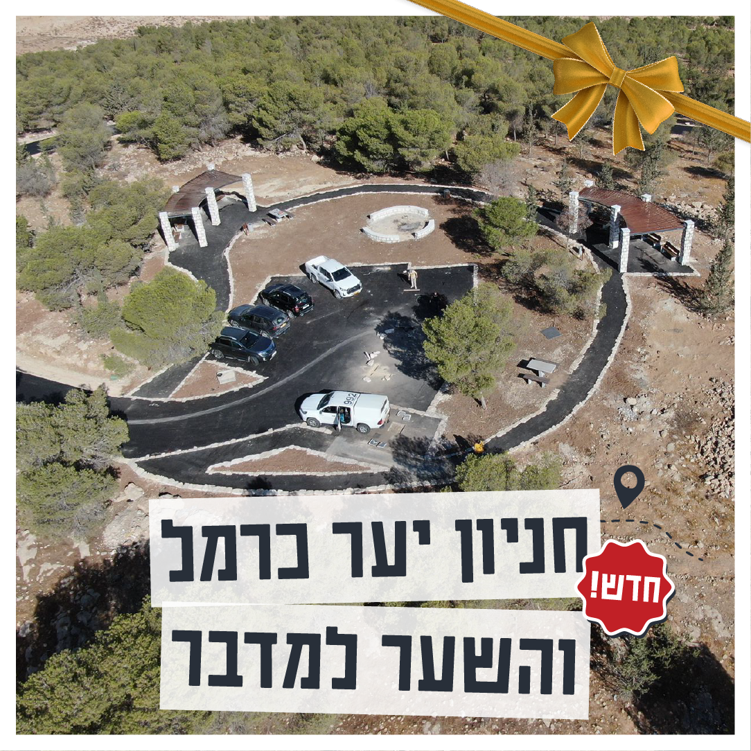 חניון יער כרמל והשער למדבר