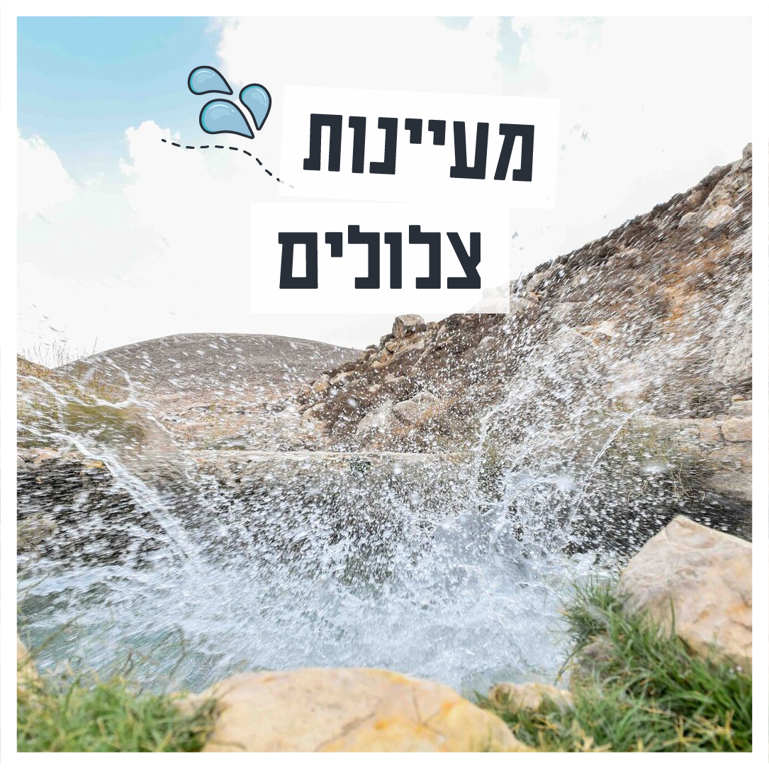 מעיינות צלולים