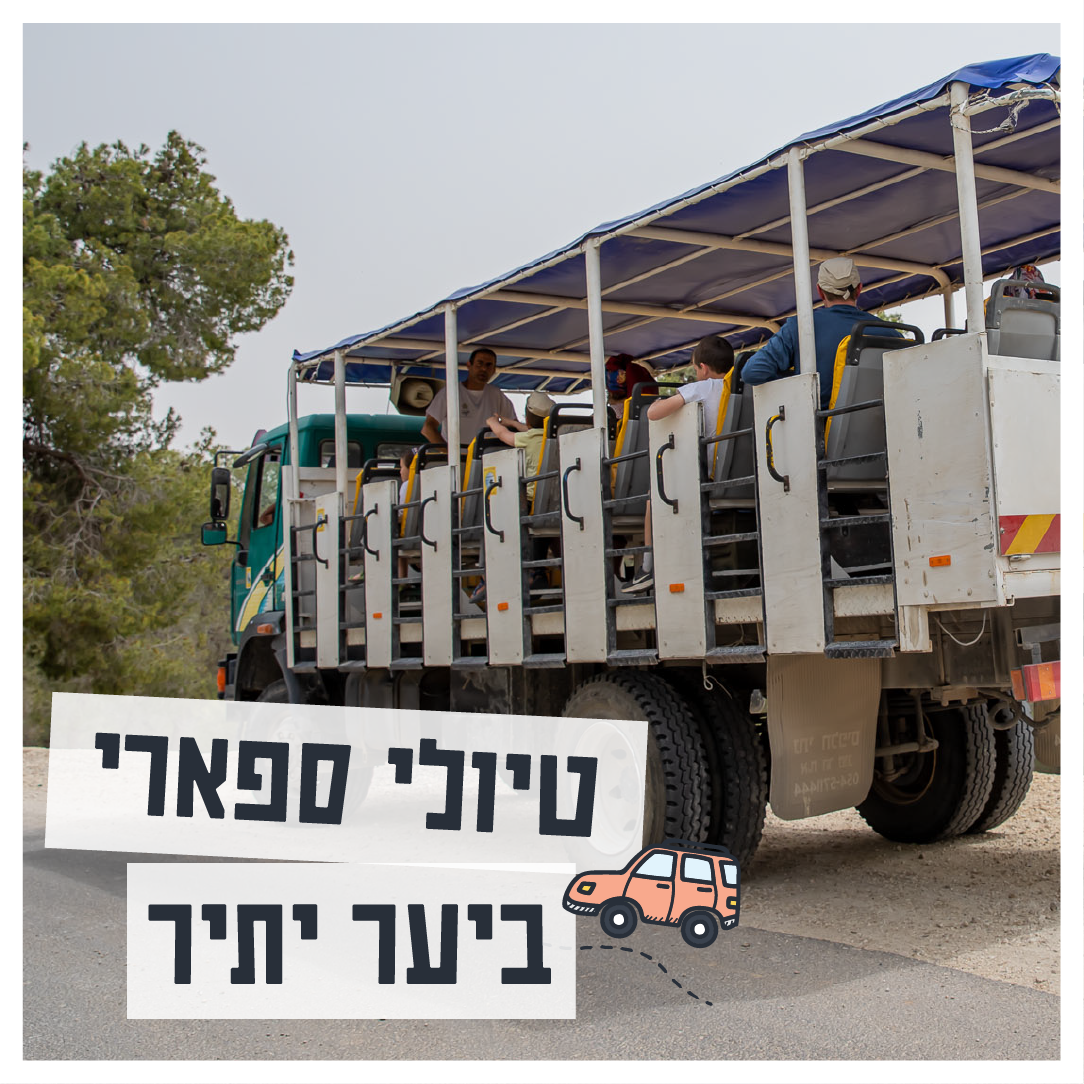 טיולי ספארי ביער יתיר